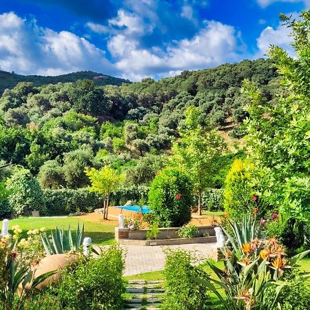 Villa Kalaitsidi - Plunge Pool, Gym And Unique Gardens Skinés Εξωτερικό φωτογραφία